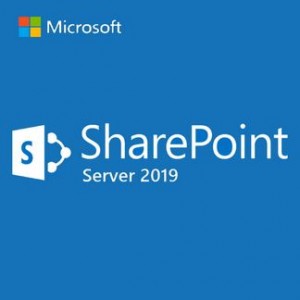 Microsoft SharePointSvr 2019 OLP NL Gov